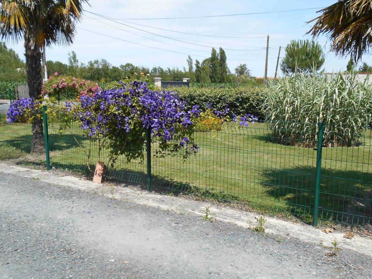 Marais Poitevin Bord Riviere Peche ,Barque, Velos, Wifi, Linge, Cheminee, Cuisine, Terrain De Boules La Taillee Экстерьер фото