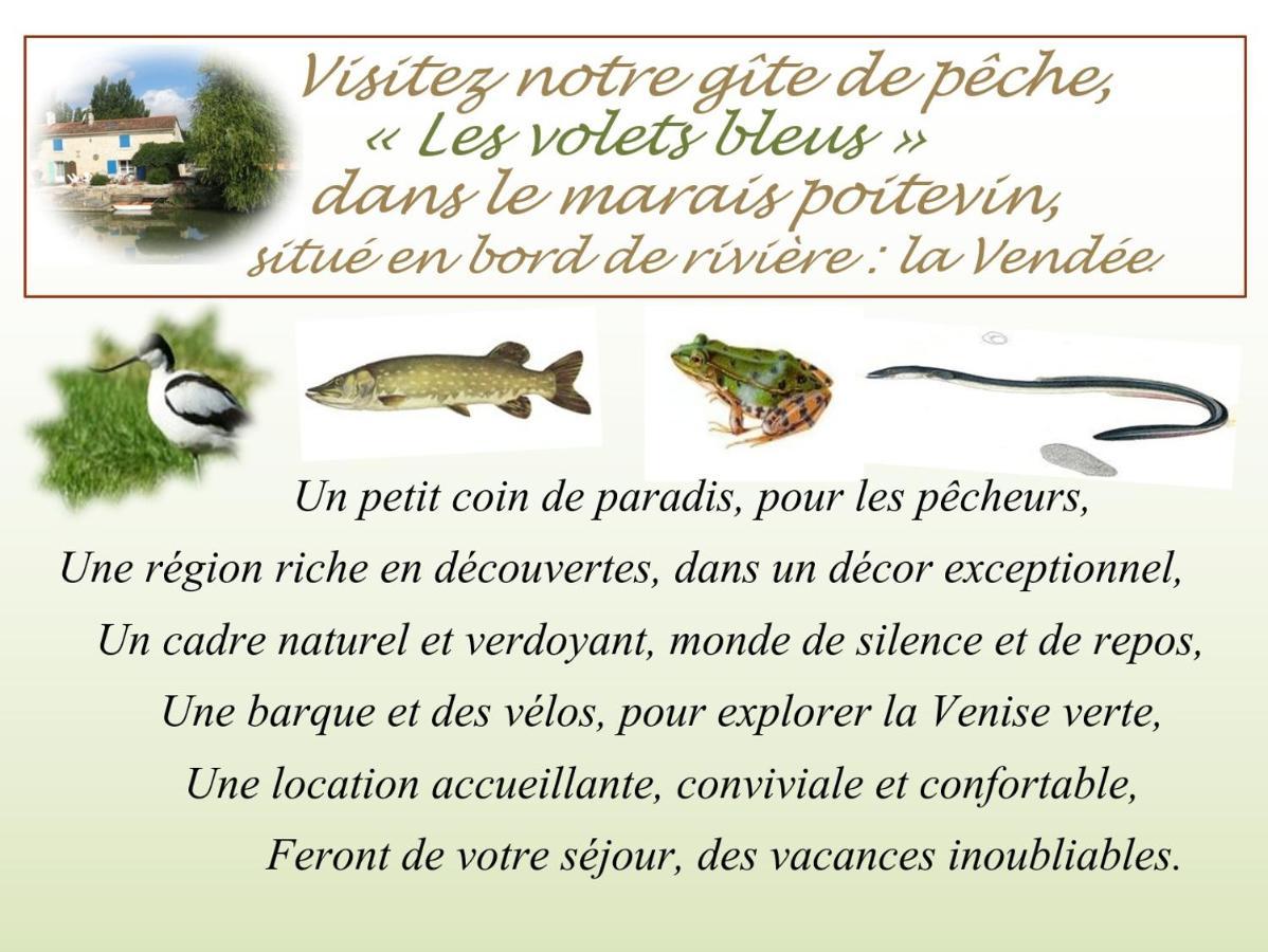 Marais Poitevin Bord Riviere Peche ,Barque, Velos, Wifi, Linge, Cheminee, Cuisine, Terrain De Boules La Taillee Экстерьер фото