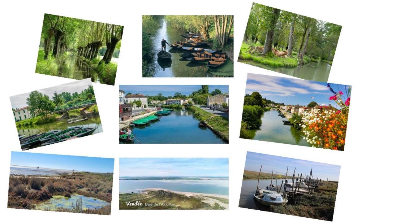 Marais Poitevin Bord Riviere Peche ,Barque, Velos, Wifi, Linge, Cheminee, Cuisine, Terrain De Boules La Taillee Экстерьер фото